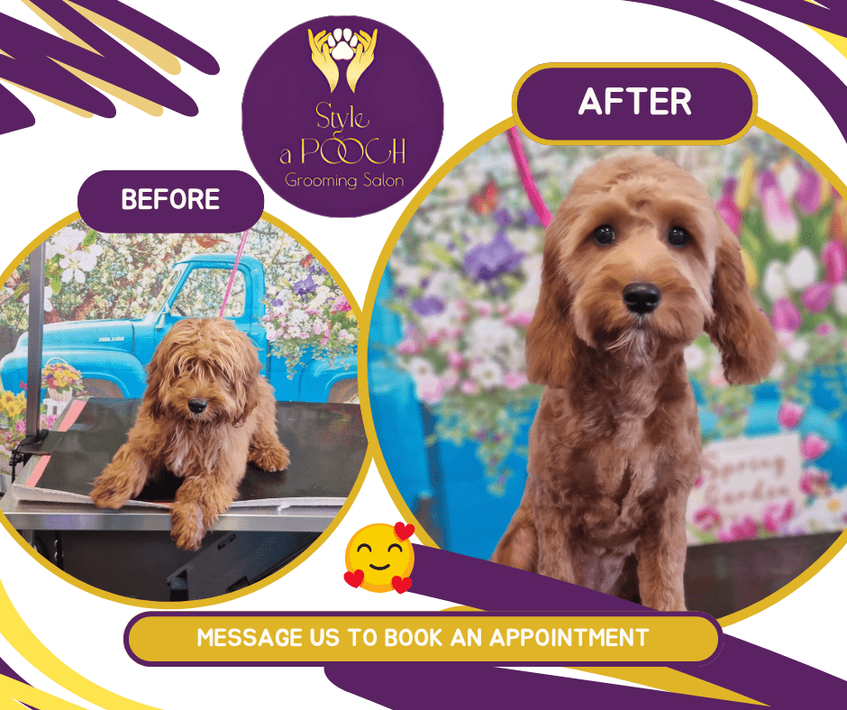 dog grooming loughrea