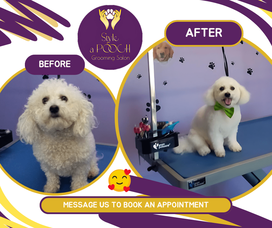 dog grooming loughrea